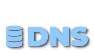 DNS-Accounting